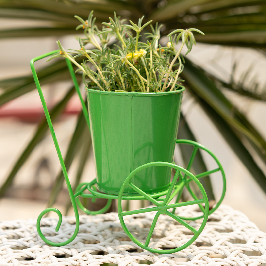 Cart Design Table Top Planter Stand in Green