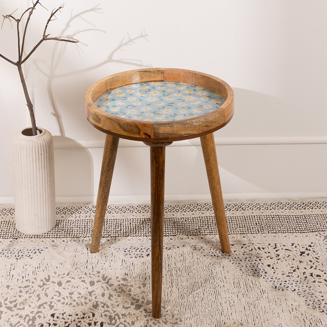 Mango Wood Round Shape End Table