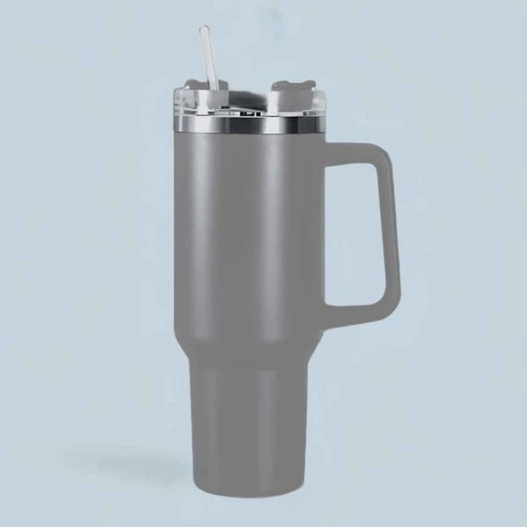 Stainless Steel Insulated Reusable Water Bottle with Lid in Grey