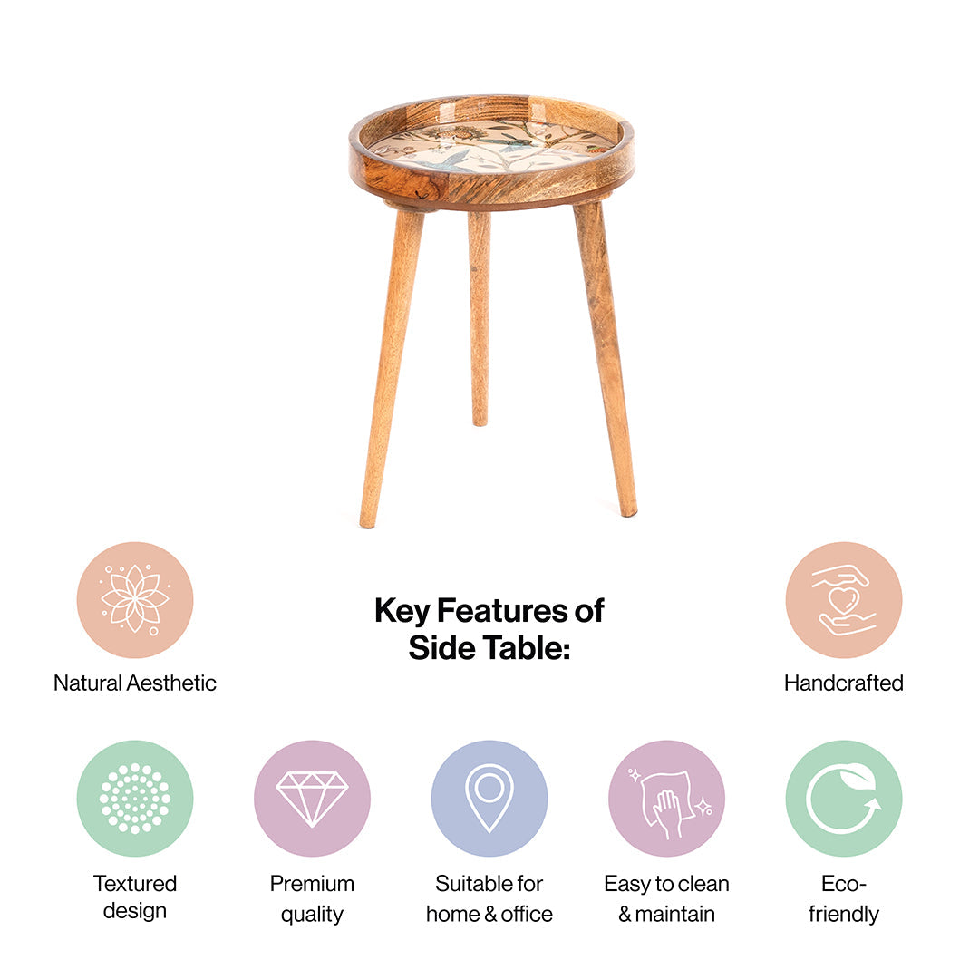 Mango Wood Round Shape End Table