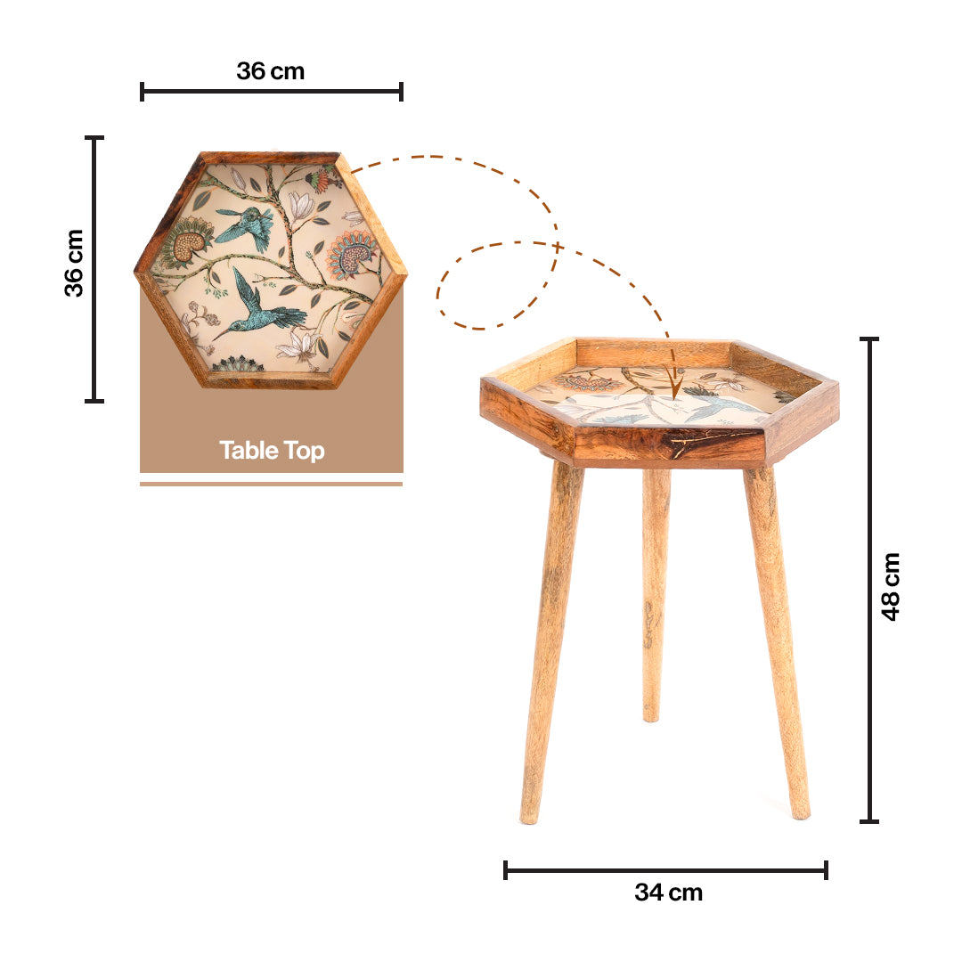 Mango Wood Round Shape End Table
