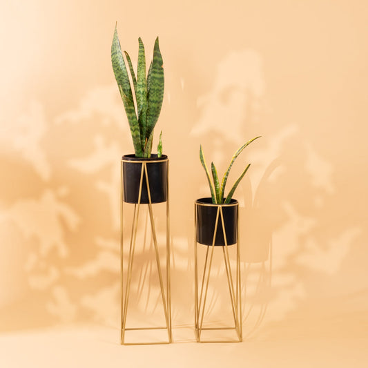 Triangle Planter Stand in Black and Golden-Set of 2