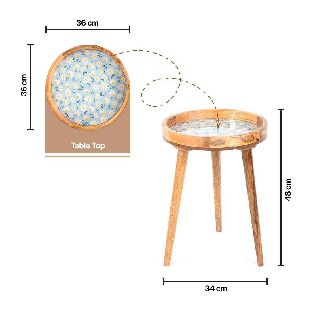 Mango Wood Round Shape End Table