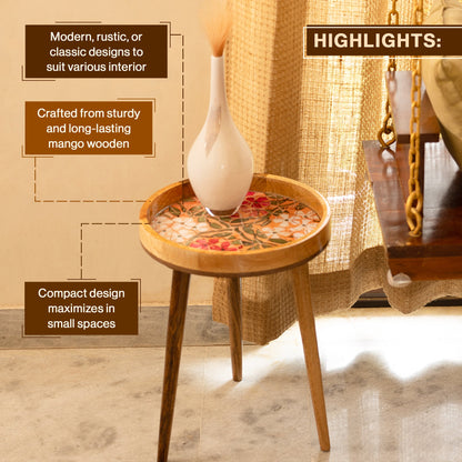 Mango Wood Round Shape End Table