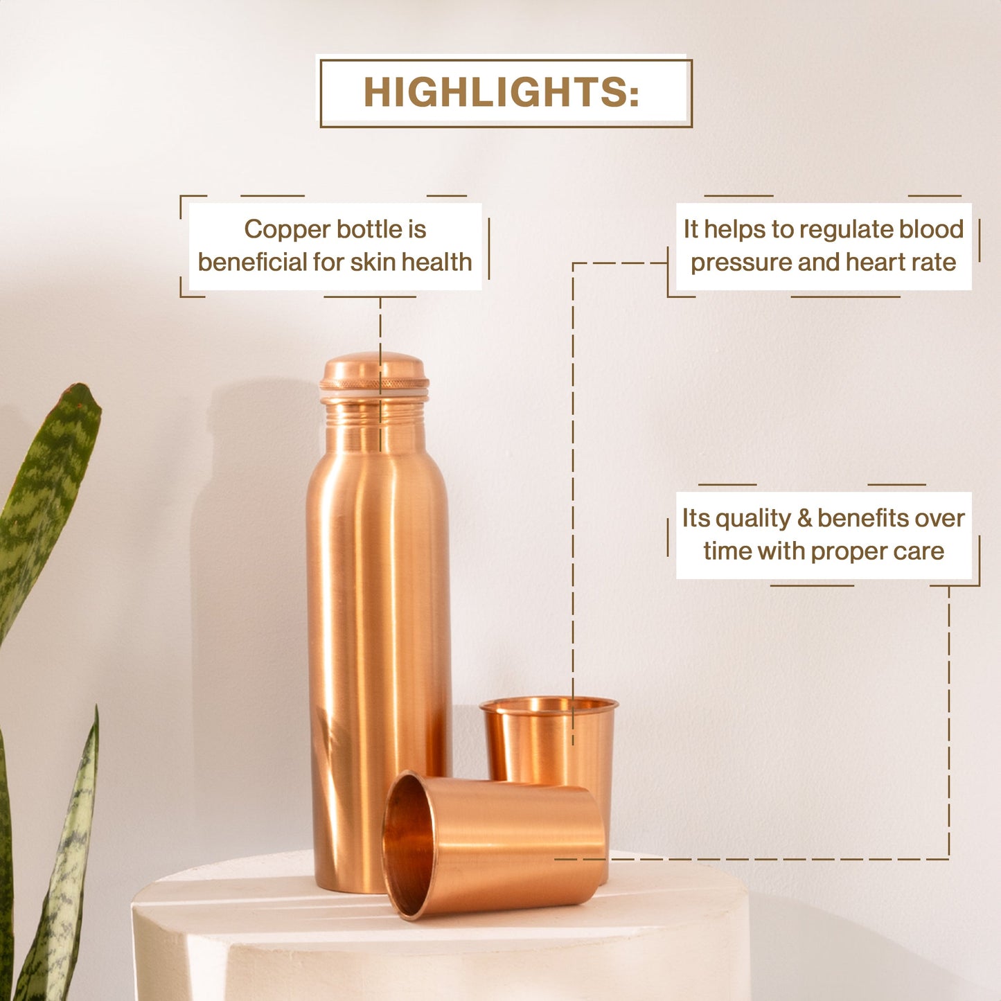 Plain Style Copper Water Bottle with Two Glasses for Kitchen Decor