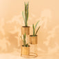 Floor Planter Stand With Triple Pots In Gold Finish