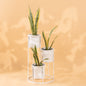 Floor Planter Stand With Triple Pots In White