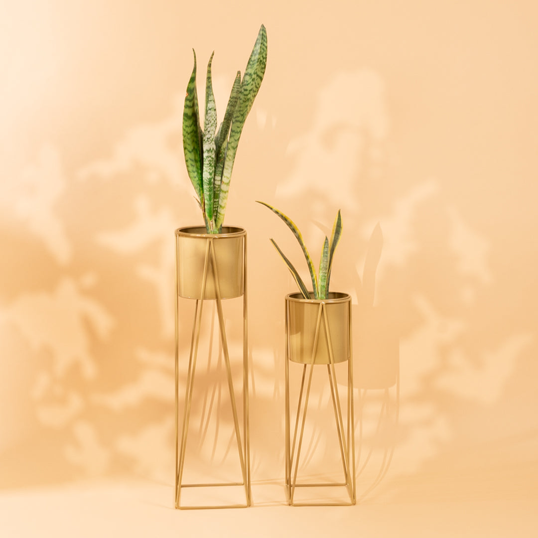 Triangle Planter Stand in Golden-Set of 2