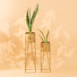 Triangle Planter Stand in Golden-Set of 2