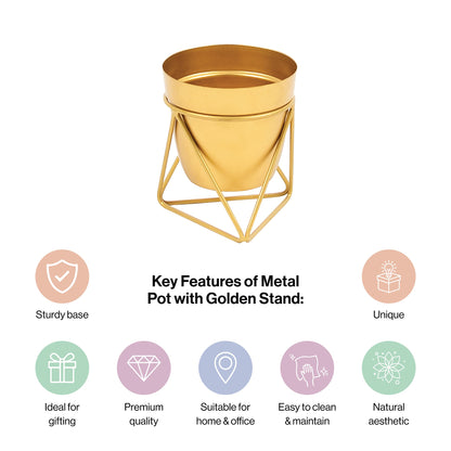 Metal Pots with Single Golden Metal Plant Stand in Sunlit Aura