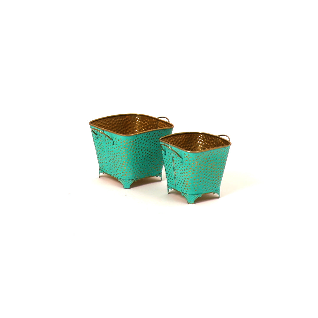 Polka Dotted Square Basket Planter in Green