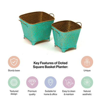 Polka Dotted Square Basket Planter in Green