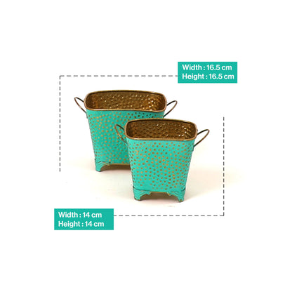 Polka Dotted Square Basket Planter in Green