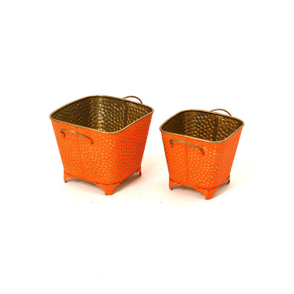 Polka Dotted Square Basket Planter in Orange