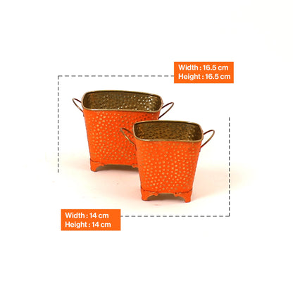 Polka Dotted Square Basket Planter in Orange