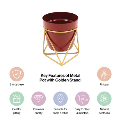 Single Golden Metal Pot Plant Stand In Mahogany
