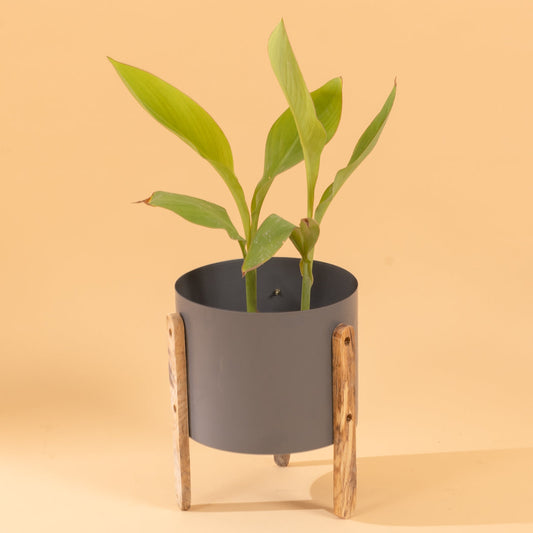 Modern Round Metal Pot with Wooden Stand in Grey