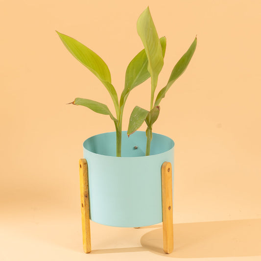 Modern Round Metal Pot with Wooden Stand in horizon blue