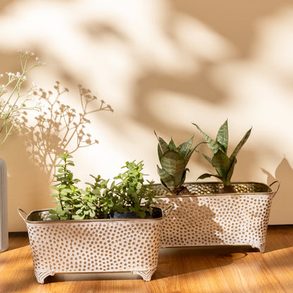 Polka Dotted Long Basket Planter in White