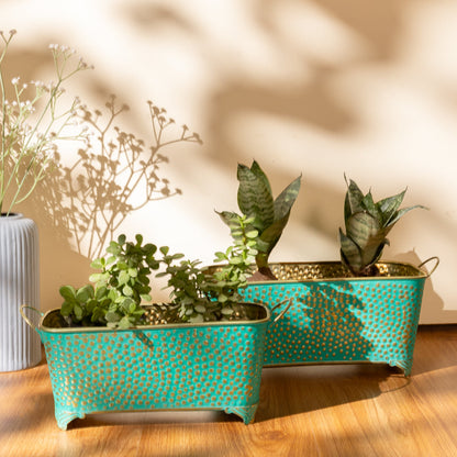 Polka Dotted Long Basket Planter in Green