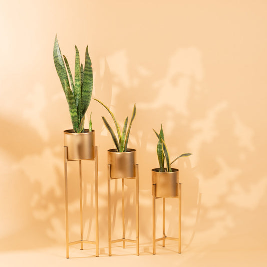 metal planters set of 3 in sunlit aura