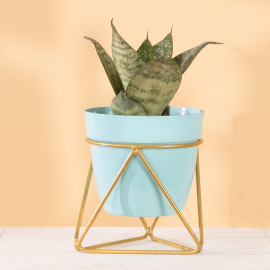 Single Golden Metal Pot Plant Stand In Horizon Blue