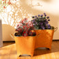 Polka Dotted Square Basket Planter in Orange