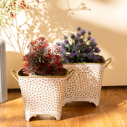 Polka Dotted Square Basket Planter in White