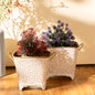 Polka Dotted Square Basket Planter in White