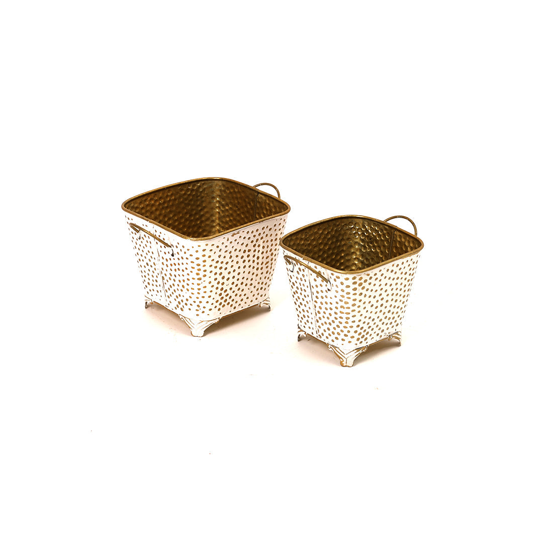 Polka Dotted Square Basket Planter in White