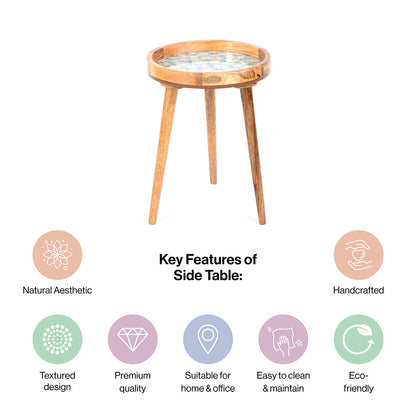 Mango Wood Round Shape End Table