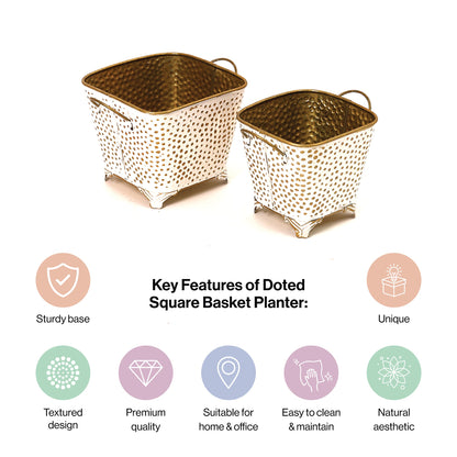 Polka Dotted Square Basket Planter in White