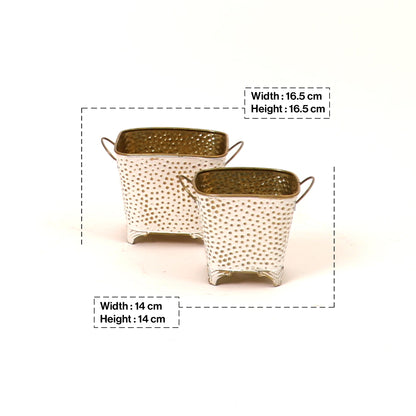 Polka Dotted Square Basket Planter in White